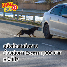 สุนัขกัดรถเสียหาย ต้องเสียค่า Excess 1,000 บาทหรือไม่?